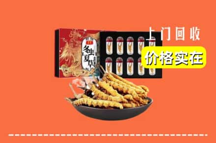 伊宁市回收冬虫夏草